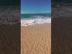 زمین های بازی منطقه بازی DTV برقی SCOOTER TRACKED ETV SNOWMOBILE ATV